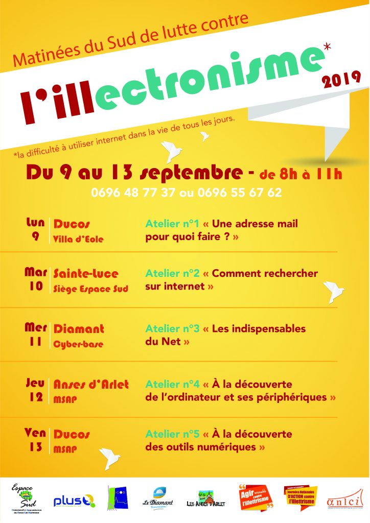 Les matinées du Sud de lutte contre l'illectronisme - Journées ...